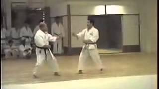 Wadō-ryū Kihon Kumite - Hideho Takagi