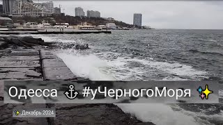 Одесса ⚓#уЧерногоМоря ✨ Декабрь 2024