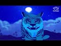 jataka tales the wind and the moon moral stories for kids