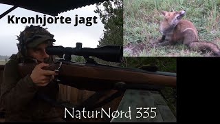 NaturNørd 335. Kronhjortejagt igen + Vind fede præmier!!!!!