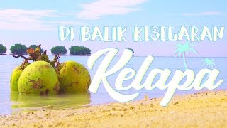 Fakta Di Balik Kesegaran Kelapa