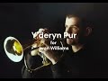 Y deryn Pur (The Gentle Dove)
