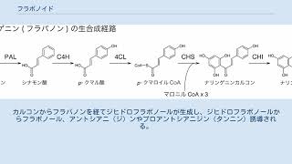 フラボノイド