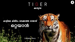 ആനയെ വരെ മസ്തകത്തിൽ അടിച്ച് വീഴുത്തുന്നവൻ| TIGER കിരീടം വെക്കാത്ത രാജാവ് #tiger #tigers