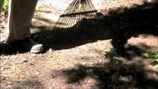 Garden Care: Raking and Mulching