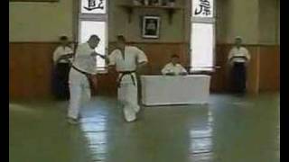 Sensei Jon Marshall - Yoshinkan Aikido Godan Test