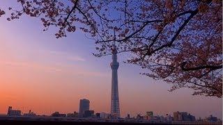 隅田川　お花見散歩　東京スカイツリー　桜