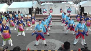 【十人十彩】2　土佐のおきゃく2012よさこい春の舞（高知市中央公園