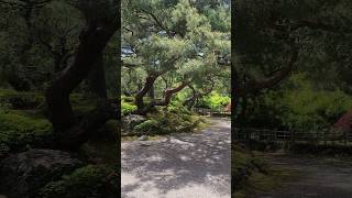 琴ノ浦温山荘園/Kotonoura Onzan-Soh-En(Garden) #garden