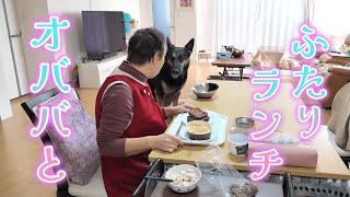 Left my dog with Grandma, and their cozy lunch together warmed my heart!