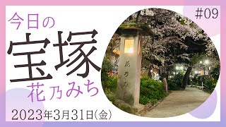 【宝塚花のみち夜桜】宝塚花のみち夜桜満開！【#9】