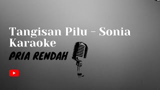 Tangisan Pilu   Sonia Karaoke Pria rendah