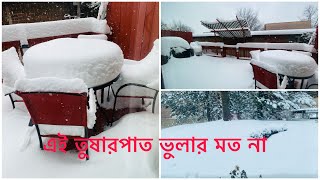 ভুলার মত না এত বরফ || Chicago snowfall 2021 #Shorts 24