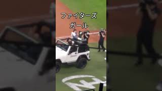 エスコンフィールドにてWBC優勝トロフィーお披露目