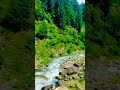 Wadi Naran Kaghan Weather ||wadi naran kaghan is most beautiful places in one🌍🏖️#shorts