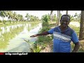 அதிக லாபம் தரும் மீன் வளர்ப்பது எப்படி meen valarpathu fish farming in tamil er kalappai