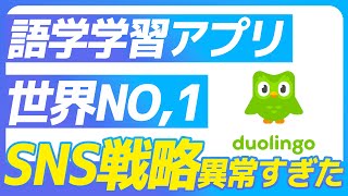 【SNS運用】デュオリンゴ口コミマーケティングが神がかっている│Webマーケティング・X運用・インフルエンサーマーケティング