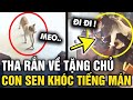 Đang ngồi làm việc, con sen 'NHẢY DỰNG' khi được con boss tặng MÓN QUÀ ĐẶC BIỆT | Tin 3 Phút