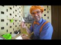 Caring After Pets - Blippi and Cute Animals  Blippi - Kids Playground  Educational Videos for Kids