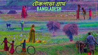 টেকপাড়া গ্রামের ঐশ্বরিক সৌন্দর্য | আমার আব্বার নানু বাড়ি | Takpara