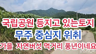 매물번호 299번 전망 좋아요 그리고 무주 중심지역 있는 아름다운 토지