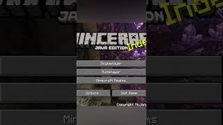 Secret Menu Easter Egg in Minecraft