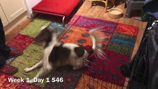 All 2 December 2019 S46 Day 1 Session 1