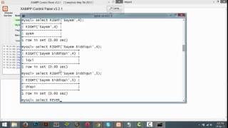 Interacting with SQL functions-CONCAT(),FIND_IN_SET(),INSERT(),INSTR(),LEFT();RIGHT(),REVERSE()