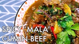 Spicy Cumin Beef Stir Fry | easy spicy numbing 'mala' beef recipe | Halal recipe