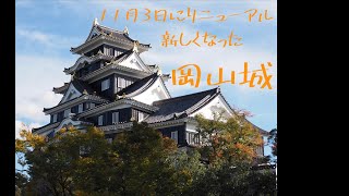 11月にリニューアルしたばかりの岡山城を征く