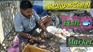 Arumuganeri fish market |Shalai fish | Thondu mean fish arumuganeri