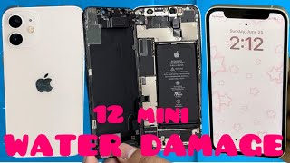 How To Fix Your Water Damaged iPhone 12 Mini