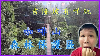 【宅記】29 咖啡山森林保護區 | 恐高症不敢走的吊橋 | 城市中心的叢林徒步絕佳地點 | 吉隆坡有咩玩（八）