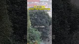 大降温来了！周末北方真的会很冷；但华南与这次“强”冷空气关系不大广东天气