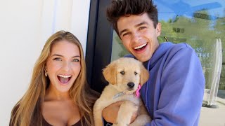 SURPRISING MY SISTER WITH A NEW PUPPY!!