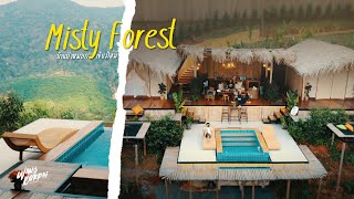 Wangkorpai |  Misty Forest บ้านป่าหมอก