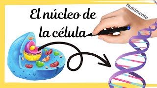 El NÚCLEO de la célula