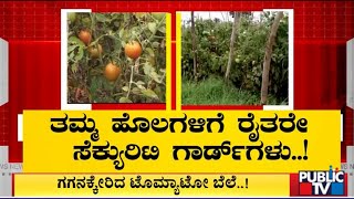 ಹಾಸನದಲ್ಲಿ ಟೋಮ್ಯೊಟೋ ಕಳ್ಳರ ಹಾವಳಿ..! | Hassan | Public TV