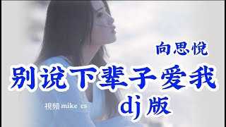 向思悦 - 别说下辈子爱我(dj版) - Bie shuo xia bei zi ai wo - [动态歌词-pinyin lyrics]