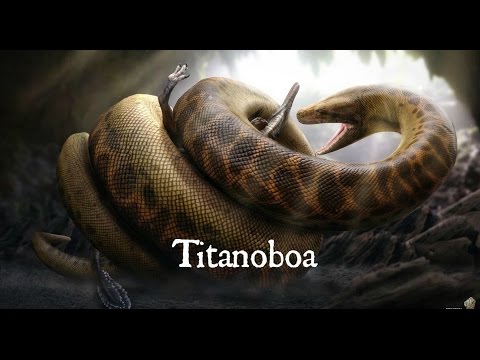 Titanoboa Documentary- Biggest Snake Ever Discovered - YouTube