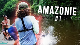 Facing the Predator of the Amazon Rainforest!