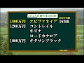 電撃引退したエフフォーリア 種牡馬になっても賛否は続く 種付料で決まる第二の馬生