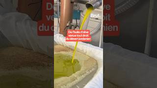 La fabrication de l'une des meilleures huiles d'olive du monde en Jordanie.