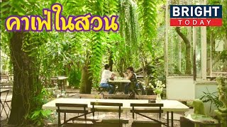 หนีโควิดไปกินกาแฟในสวน Little tree สามพราน | the next youtuber