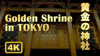 【Ueno Toshogu⛩ ✨Golden Shine✨】in Tokyo Japan🎌 上野東照宮 ~ 黄金の神社 ~