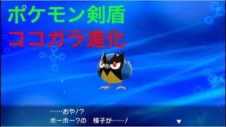 【ポケモン剣盾】ホーホー？(ココガラ)が進化しました Pokémon Sword Shield