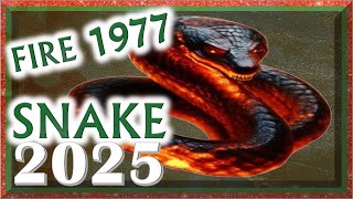 ✪ Snake Horoscope 2025 |❤| Fire Snake 1977 | February 18, 1977 to February 6, 1978