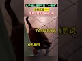 女子路上遇见可爱“小猫咪”，当靠近后……果然“猫不可貌相” 萌宠 搞笑