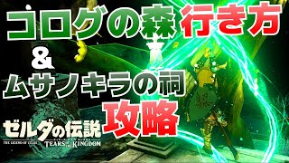 コログの森の行き方(チロリの森の深穴から行く方法)＆ムサノキラの祠攻略【ゼルダの伝説ティアーズオブザキングダム】