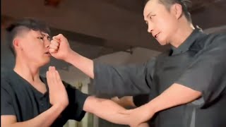 8 Master Tu Tengyao Self Defense Techniques Compilation